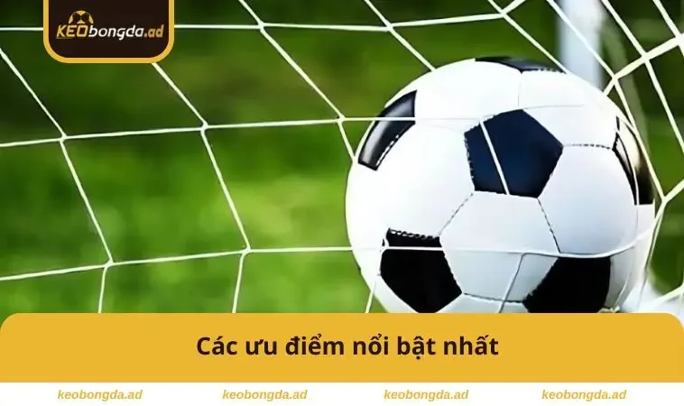 Các ưu điểm nổi bật nhất