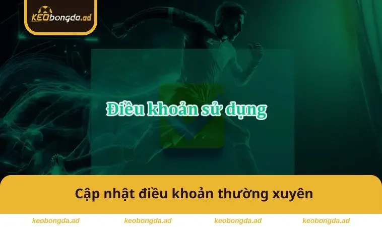 Cập nhật thường xuyên