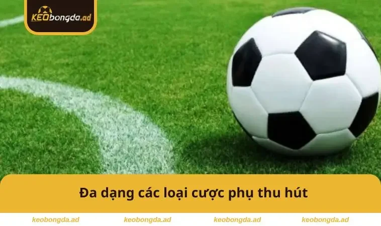 Đa dạng các loại cược phụ thu hút