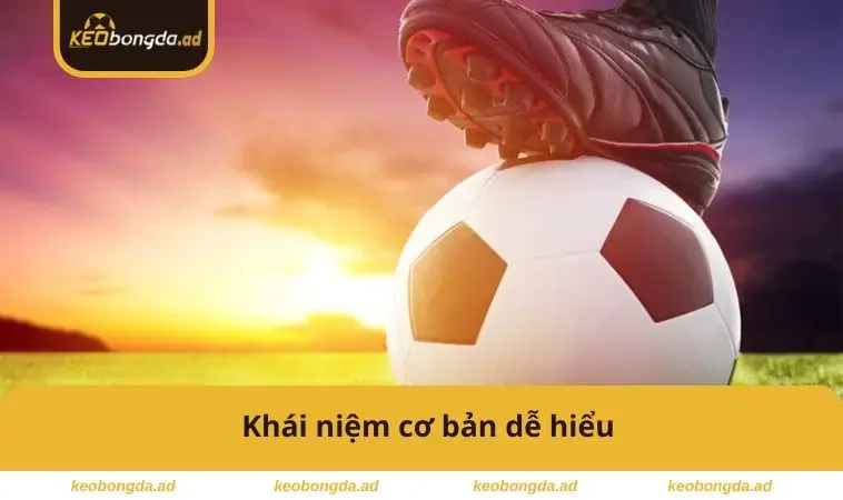 Khái niệm cơ bản dễ hiểu