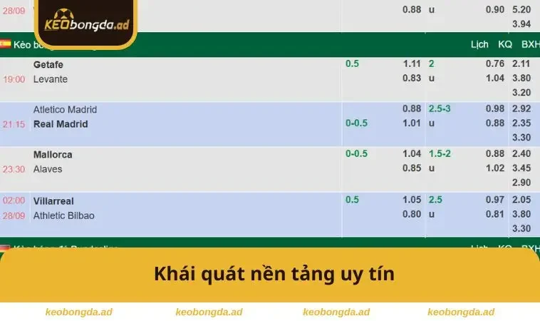 Khái quát nền tảng uy tín