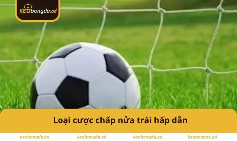 Loại cược chấp nửa trái hấp dẫn