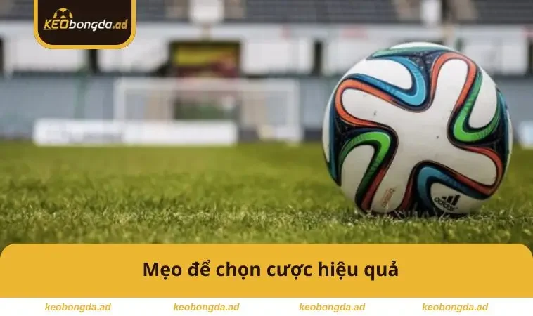 Mẹo để chọn cược hiệu quả