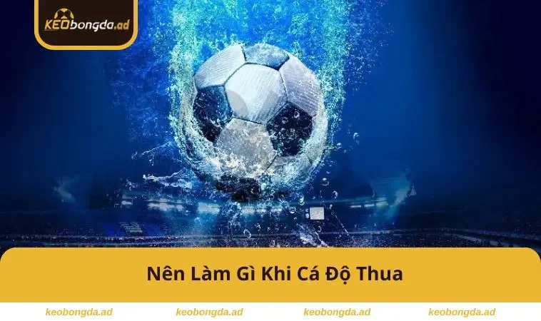 nen-lam-gi-khi-ca-do-thua