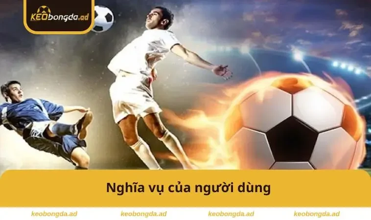 Nghĩa vụ của người dùng