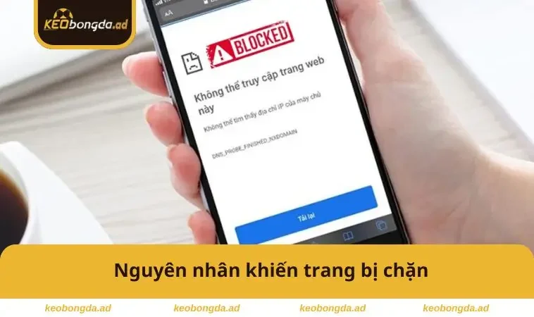 Nguyên nhân bị chặn truy cập