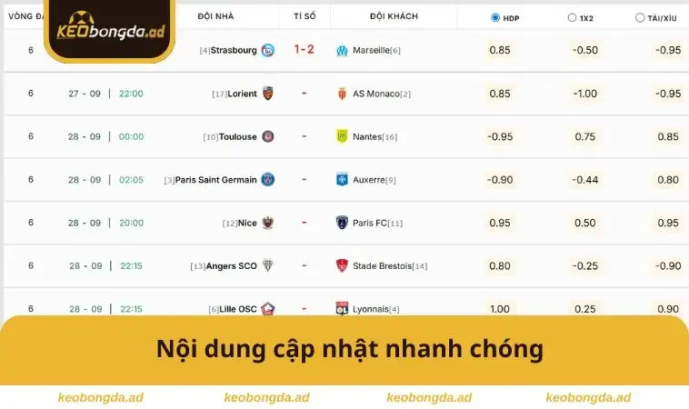 Nội dung cập nhật nhanh chóng