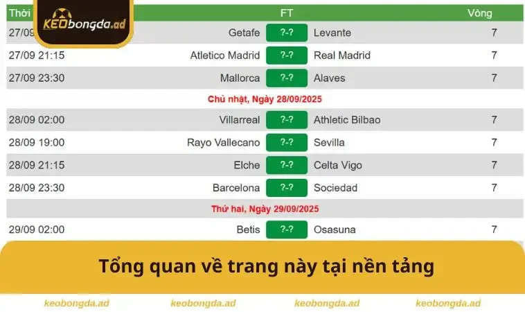 Tổng quan về trang này tại nền tảng